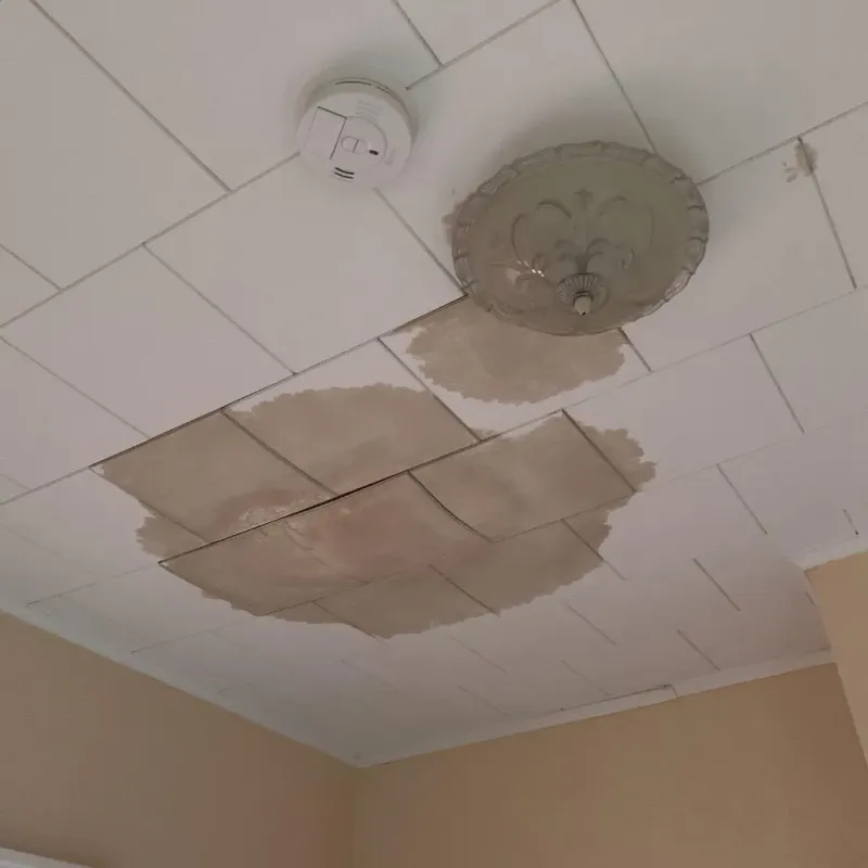 Ceiling Water Damage Repair in Dover, VT