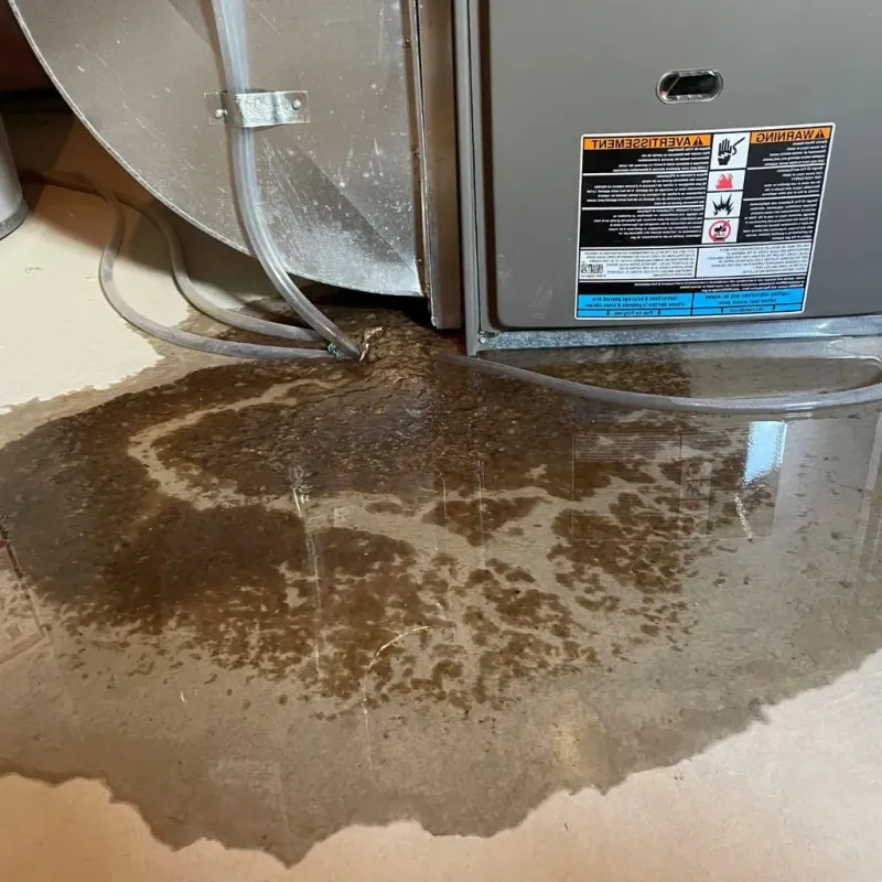 Pipe Burst and Leak Restoration in Dover, VT
