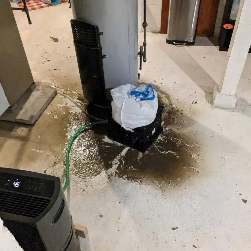 Sewage Backup Cleanup Service in Dover, VT